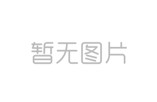 紅十五線（新世紀(jì)大道—觀十五線）提升工程普通瀝青采購(gòu)中標(biāo)公告